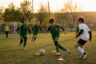 Academii de fotbal București — comparație completă 2026